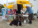 Baehnlesfest-Tettnang-130915-Bodensee-Community-SEECHAT_DE-_122_.JPG