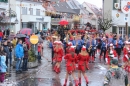 Langenargen-Fasnetsumzug-100116-Bodensee-Community-SEECHAT_DE-IMG-_145_.jpg