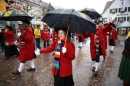 Langenargen-Fasnetsumzug-100116-Bodensee-Community-SEECHAT_DE-IMG_4353.JPG