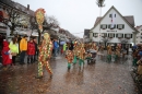 Langenargen-Fasnetsumzug-100116-Bodensee-Community-SEECHAT_DE-IMG_4466.JPG