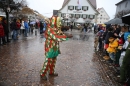 Langenargen-Fasnetsumzug-100116-Bodensee-Community-SEECHAT_DE-IMG_4474.JPG
