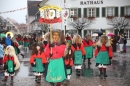 Langenargen-Fasnetsumzug-100116-Bodensee-Community-SEECHAT_DE-IMG_4479.JPG