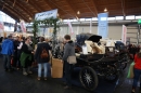 PFERD-BODENSEE-Friedrichshafen-13022016-Bodensee-Community-SEECHAT_DE-IMG_6904.JPG