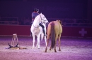 PFERD-BODENSEE-Friedrichshafen-13022016-Bodensee-Community-SEECHAT_DE-IMG_7354.JPG