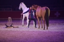 PFERD-BODENSEE-Friedrichshafen-13022016-Bodensee-Community-SEECHAT_DE-IMG_7356.JPG