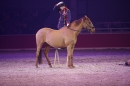 PFERD-BODENSEE-Friedrichshafen-13022016-Bodensee-Community-SEECHAT_DE-IMG_7359.JPG