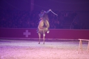 PFERD-BODENSEE-Friedrichshafen-13022016-Bodensee-Community-SEECHAT_DE-IMG_7364.JPG