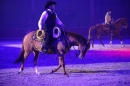 PFERD-BODENSEE-Friedrichshafen-13022016-Bodensee-Community-SEECHAT_DE-IMG_7515.JPG