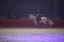 PFERD-BODENSEE-Friedrichshafen-13022016-Bodensee-Community-SEECHAT_DE-IMG_7561.JPG