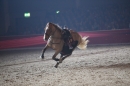 PFERD-BODENSEE-Friedrichshafen-13022016-Bodensee-Community-SEECHAT_DE-IMG_7596.JPG