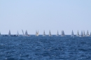 Mallorca-Segeln-Regatta-260316-Bodensee-Community-SEECHAT_DE-IMG_7175.JPG