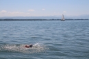 BODENSEEBOOT-Bodenseequerung-Hamza-Friedrichshafen-20160610-SEECHAT-_27_.JPG