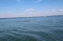 BODENSEEBOOT-Bodenseequerung-Hamza-Friedrichshafen-20160610-SEECHAT-_39_.JPG