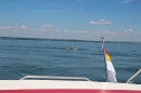BODENSEEBOOT-Bodenseequerung-Hamza-Friedrichshafen-20160610-SEECHAT-_44_.JPG