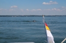 BODENSEEBOOT-Bodenseequerung-Hamza-Friedrichshafen-20160610-SEECHAT-_45_.JPG