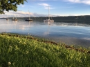 Hochwasser-Bodensee-2016-06-17-Bodensee-Community_SEECHAT_DE-IMG_4550.JPG