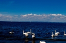 Hochwasser-am-Bodensee-Rorschach-2016-06-20-Bodensee-Community-SEECHAT-CH-_112_.jpg