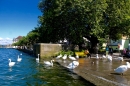 X1-Hochwasser-am-Bodensee-Rorschach-2016-06-20-Bodensee-Community-SEECHAT-CH-.jpg