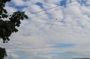 Zuerifest-Zuerich-2017-07-03-Bodensee-Community_SEECHAT_DE-_150_.jpg