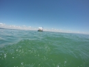 Bodenseequerung-Bernhard-Nuss-Friedrichshafen-20160704-SEECHAT_DE-G0049779.JPG