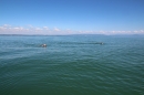 Bodenseequerung-Bernhard-Nuss-Friedrichshafen-20160704-SEECHAT_DE-IMG_0927.JPG