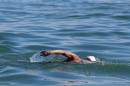 Hamza-Bakircioglu-Bodensee-Laengsquerung-2017-07-16u17-Bodensee-Community-SEECHAT_DE-IMG_2155.JPG