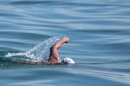 Hamza-Bakircioglu-Bodensee-Laengsquerung-2017-07-16u17-Bodensee-Community-SEECHAT_DE-IMG_2165.JPG