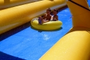 Slide-my-City-2017-07-30-Bodensee-Community_SEECHAT-DE-_49_.jpg