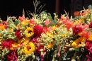 Sommergarten-Open-Air-Wil-SG-_69_.jpg