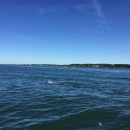 Bodenseequerung-Tobias-Treutler-2016-08-23-Bodensee-Community-SEECHAT_DE-IMG_6600.JPG