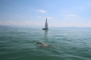 Bodenseequerung-Prof-Dr-Michael-Metz-2016-Bodensee-Community-SEECHAT_DE-IMG_5947.JPG