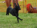 Struppirennen-Bad-Saulgau-04-09-2016-Bodensee-Community-SEECHAT_DE-_144_.JPG