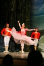 Schwanensee-Ballett-061216-Bodenseecomunity-SEECHAT_DE--1037.jpg