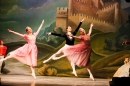 Schwanensee-Ballett-061216-Bodenseecomunity-SEECHAT_DE--1041.jpg