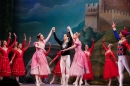 Schwanensee-Ballett-061216-Bodenseecomunity-SEECHAT_DE--1044.jpg