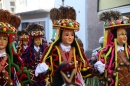 Landschaftstreffen-Markdorf-290117-seechat_de-IMG_2086.jpg