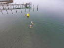 Eisman-Ludwigshafen-2017-02-11-Bodensee-Community-SEECHAT_DE-DJI_0387.JPG