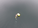 Eisman-Ludwigshafen-2017-02-11-Bodensee-Community-SEECHAT_DE-DJI_0453.JPG