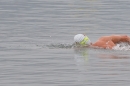 Eisman-Ludwigshafen-2017-02-11-Bodensee-Community-SEECHAT_DE-DSC00840.JPG