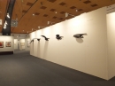 ART-Karlsruhe-2017-02-17-Bodensee-Community-SEECHAT_DE-_222_.JPG