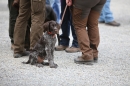 Jagdhundetag-2017-04-23-Dornsberg-Bodensee_Community-seechat_DE-IMG_0429.JPG