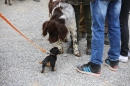 Jagdhundetag-2017-04-23-Dornsberg-Bodensee_Community-seechat_DE-IMG_0436.JPG