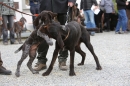 Jagdhundetag-2017-04-23-Dornsberg-Bodensee_Community-seechat_DE-IMG_0448.JPG