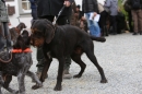 Jagdhundetag-2017-04-23-Dornsberg-Bodensee_Community-seechat_DE-IMG_0449.JPG