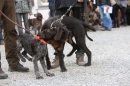 Jagdhundetag-2017-04-23-Dornsberg-Bodensee_Community-seechat_DE-IMG_0450.JPG
