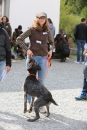 Jagdhundetag-2017-04-23-Dornsberg-Bodensee_Community-seechat_DE-IMG_0470.JPG
