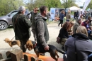 Jagdhundetag-2017-04-23-Dornsberg-Bodensee_Community-seechat_DE-IMG_0498.JPG