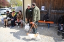 Jagdhundetag-2017-04-23-Dornsberg-Bodensee_Community-seechat_DE-IMG_0510.JPG