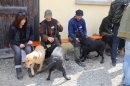 Jagdhundetag-2017-04-23-Dornsberg-Bodensee_Community-seechat_DE-IMG_0511.JPG
