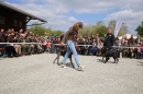 Jagdhundetag-2017-04-23-Dornsberg-Bodensee_Community-seechat_DE-IMG_0523.JPG